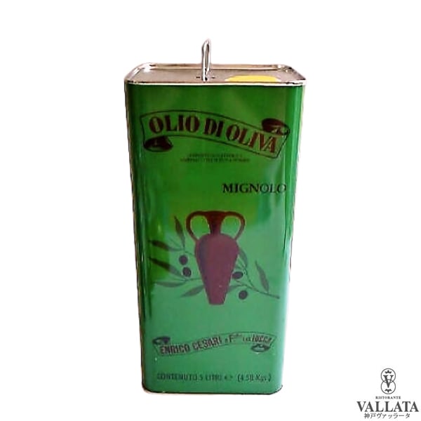 エンリコ チェザーリ ピュアオリーブオイル 5L 【Enrico cesari