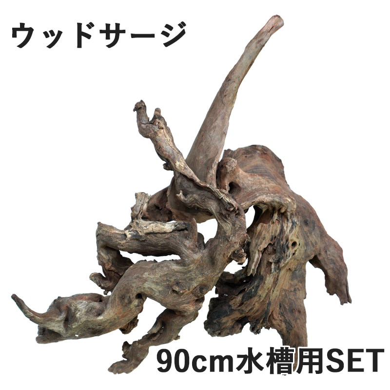 デルフィス リベラ流木 ウッドサージ90cm水槽用セレクトSET