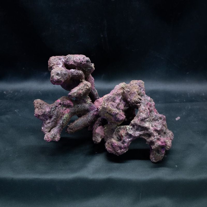 人工ライブロック | Aquarium TALLMAN