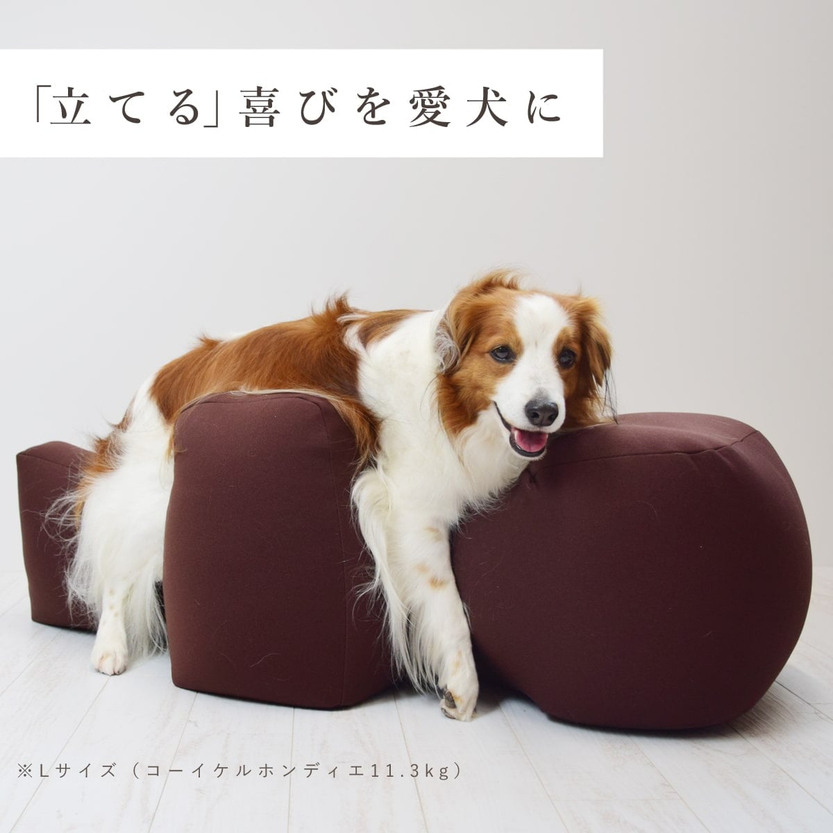 犬 介護 クッションならリラクッション｜老犬の寝たきり・床ずれ防止