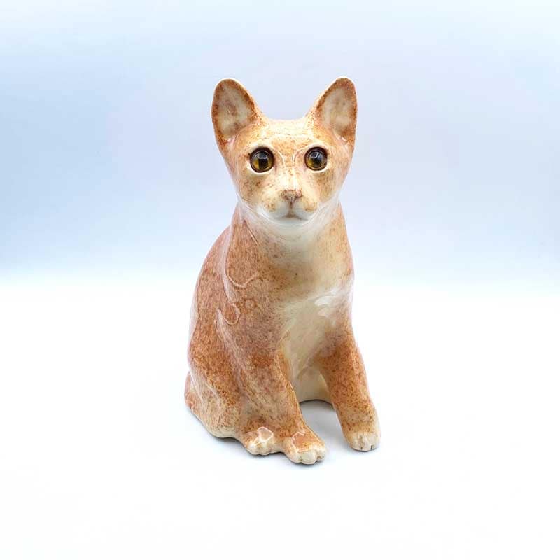 ウィンスタンレイキャット（ケンジントンキャット）ラブリ〜なお顔