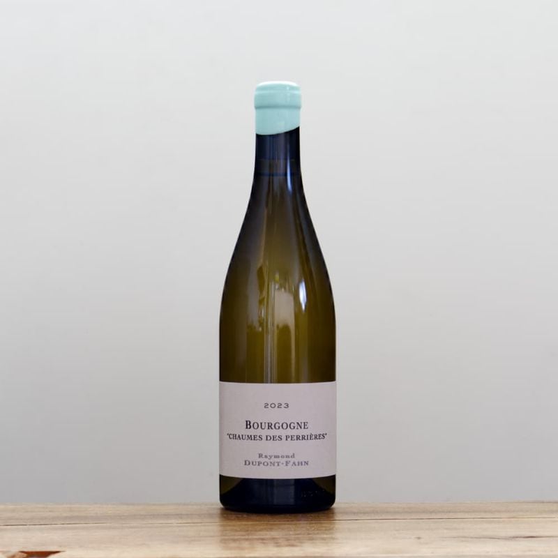 アズッカ・エ・アズッコ 夜のマーケット・ツアー2024赤