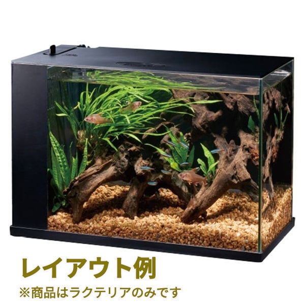 ラクテリア ブラック GEX(ジェックス) アクアリウム 水槽 ろ過