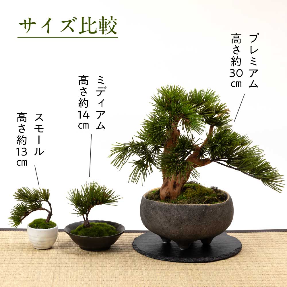 雲脚蓮華鉢 紫砂の鉢 盆栽鉢 植木鉢 小品盆栽鉢 大品盆栽鉢 雲脚蓮華鉢