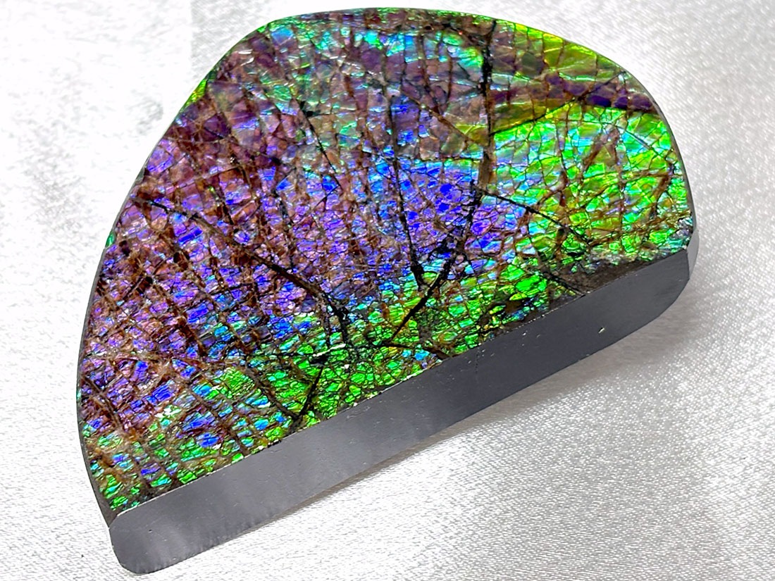 カナダ・アルバータ州産 アンモライト / Ammolite