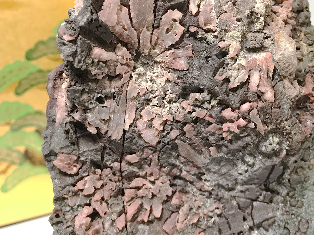 門司 梅花石 2個 2025年最新】梅花石 門司の人気アイテム - メルカリ