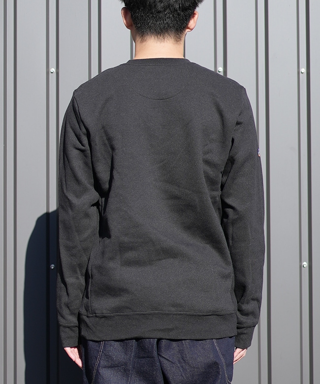 国内正規販売店】[39667]Patagonia(パタゴニア)フィッツロイ・アイコン