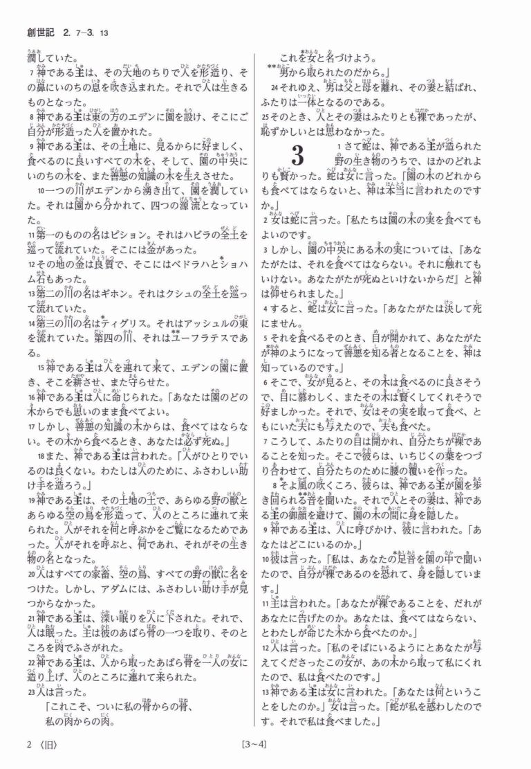 聖書 新改訳2017 スリム シンボルアート NBH-20sa （45860）（いのちの
