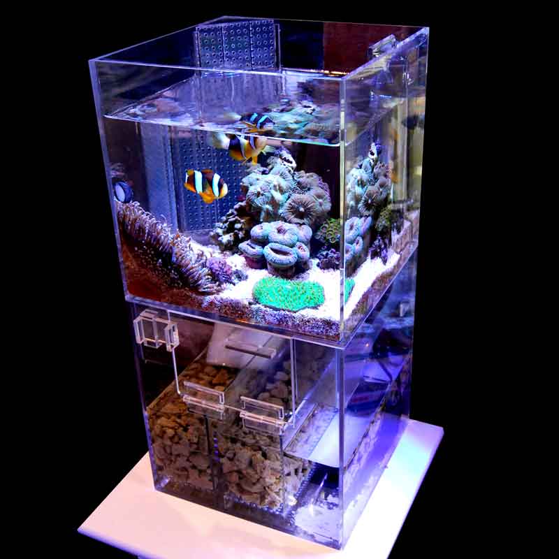 アクリルミニオーバーフロー水槽 【変えれま水位】23cmキューブドア