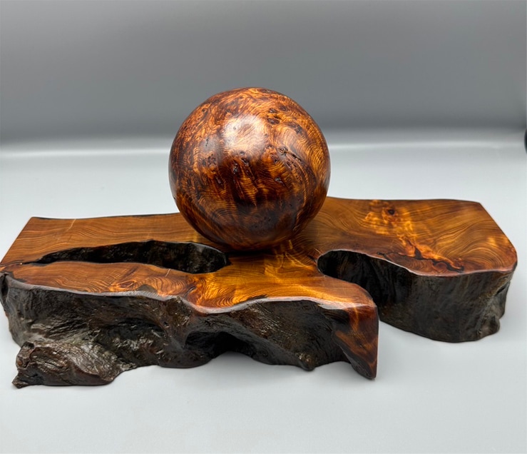 泡瘤ができた古木(床の間に置く飾りの置物として)