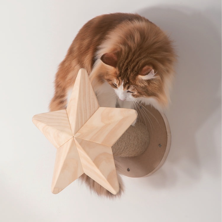 キャプテン21様 キャットステップ オーダー キャットステップ」の人気