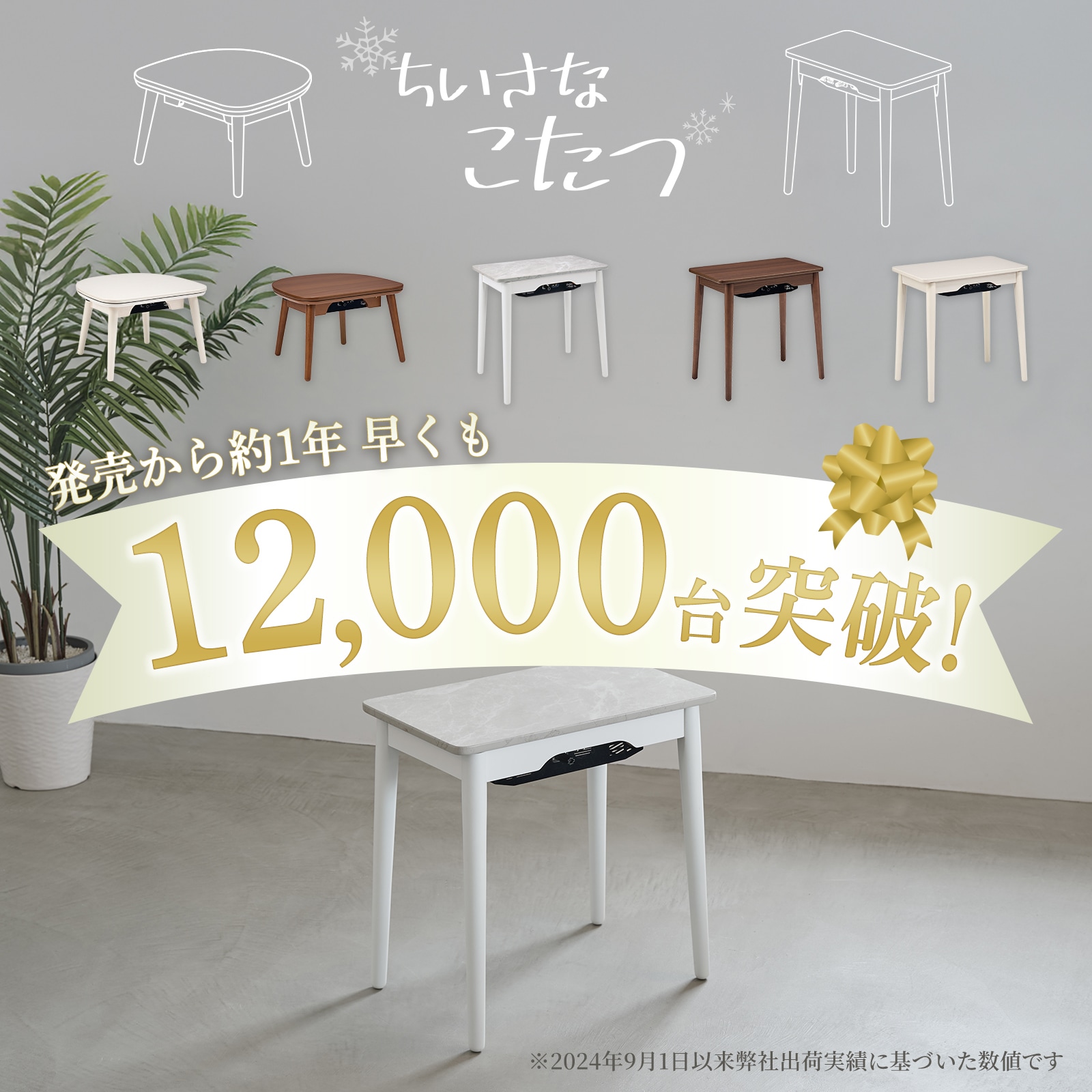 13_000000010981.jpg?1766387394