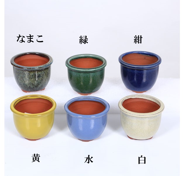 185 盆栽 盆栽鉢 植木鉢 和鉢 燿山185 盆栽 盆栽鉢 植木鉢 和鉢 燿山