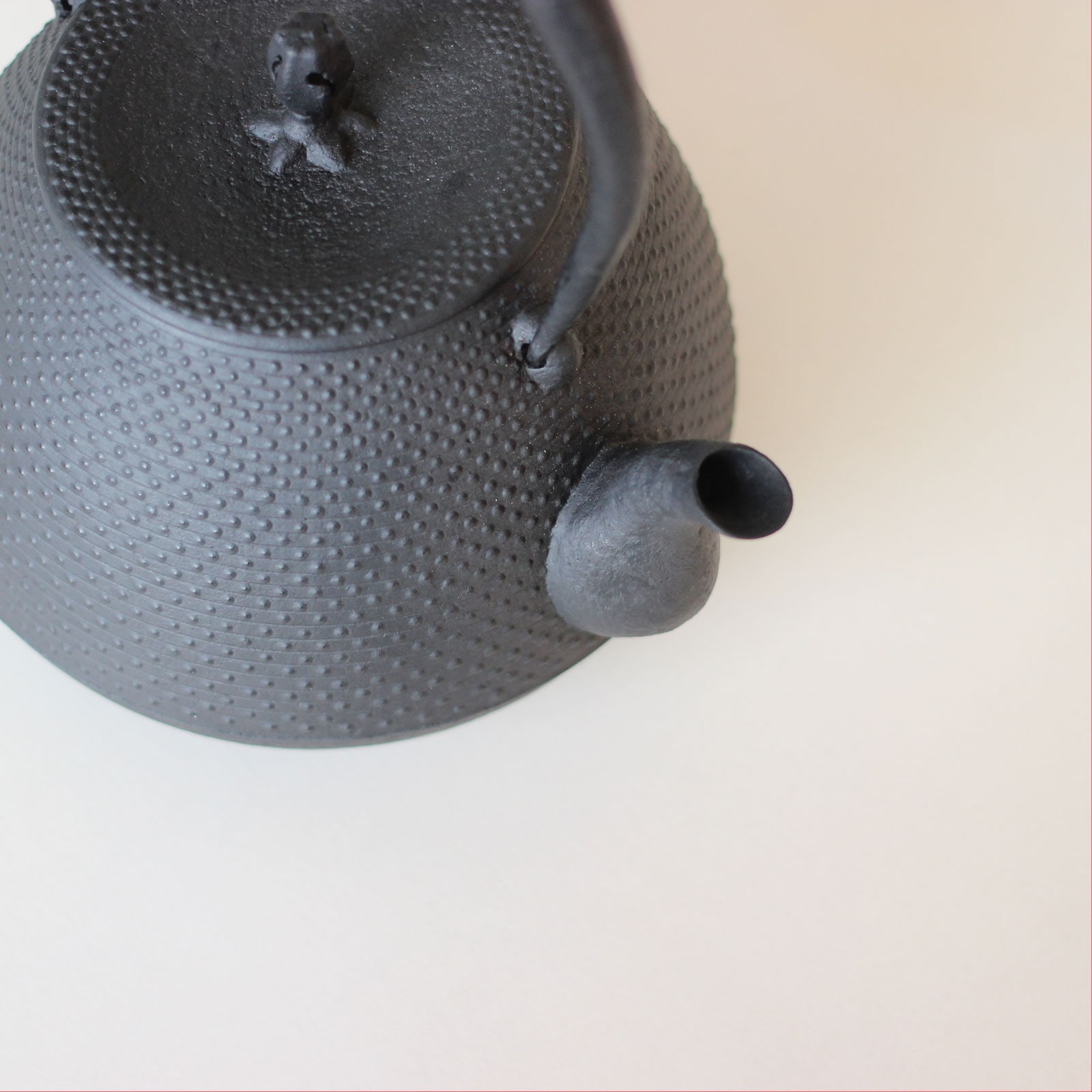 釜定の鉄瓶 「秋の実 あられ」 | zuiun onlineshop