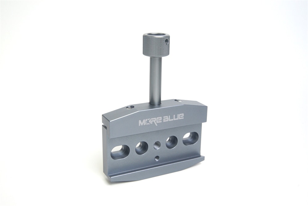 標本 Australia Blackburnium s.p 24mm Australia Blackburnium s.p 24mm