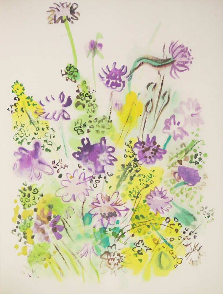 ラウル・デュフィ 挿画本『植物誌』よりコスモス ラウル・デュフィ