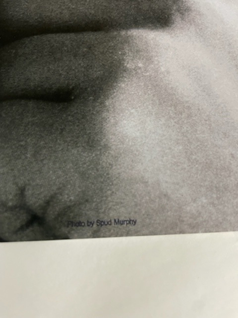 John Lennon ジョン レノン（スパッド マーフィー） ポスター販売の