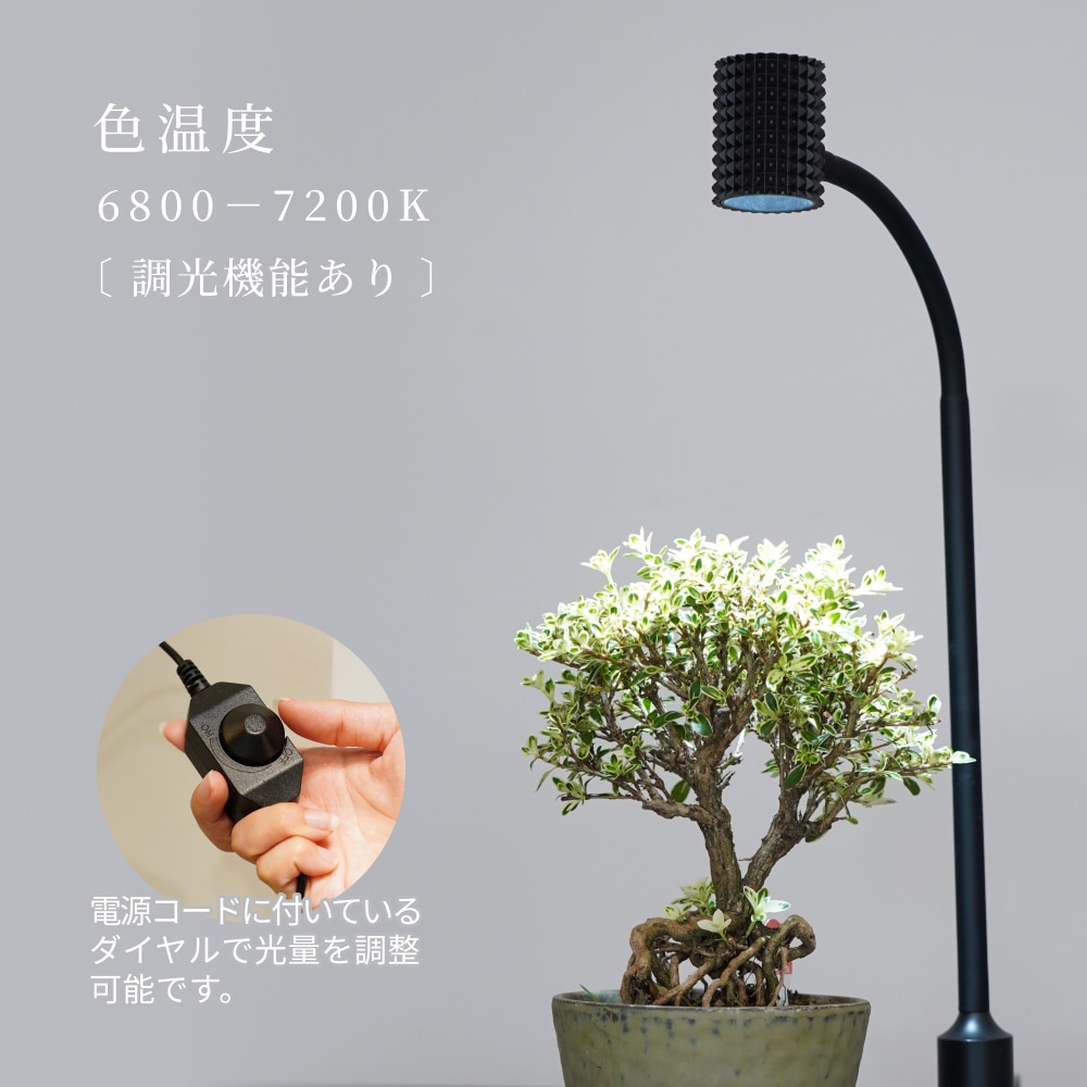 WANTKEY&H&O DS 希少植物育成ライト スタンド WANTKEY&H&O DS 希少植物