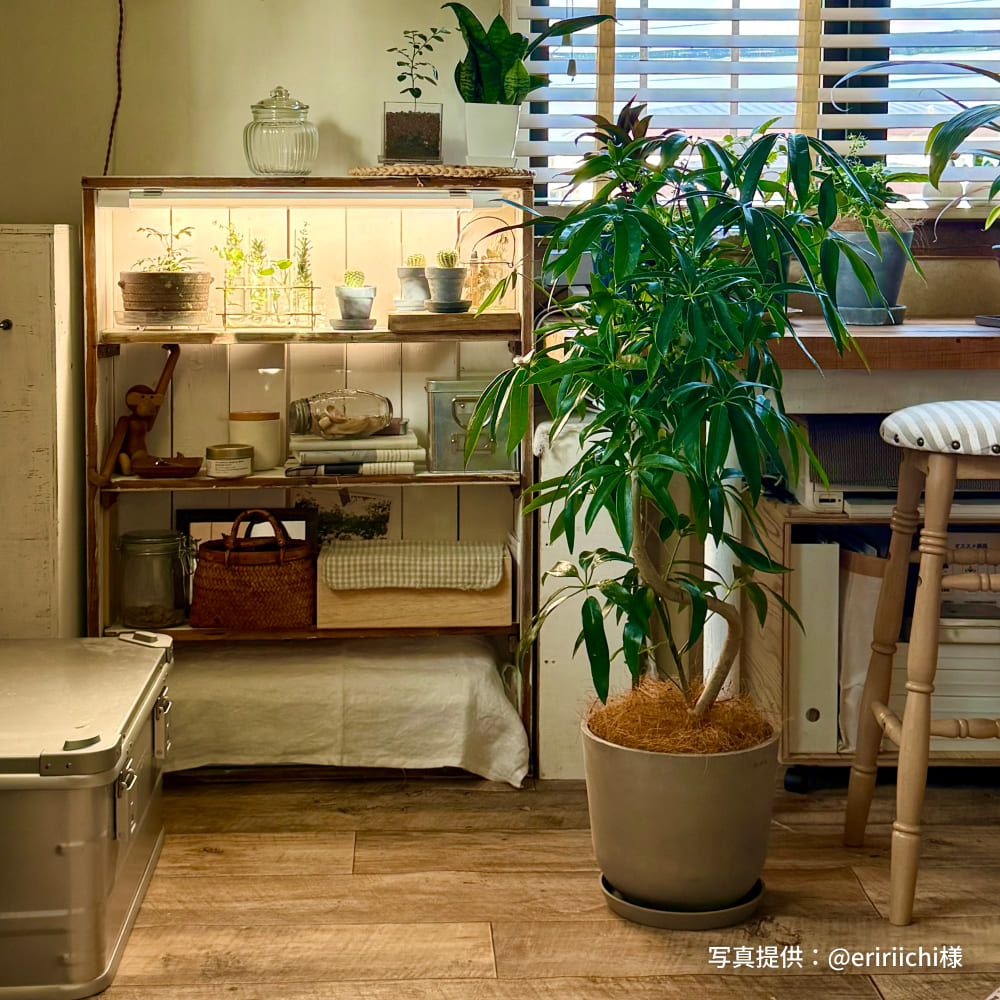 BARREL 【SHELF GROW SLIM】バー型 プラントライト4本セット 植物育成