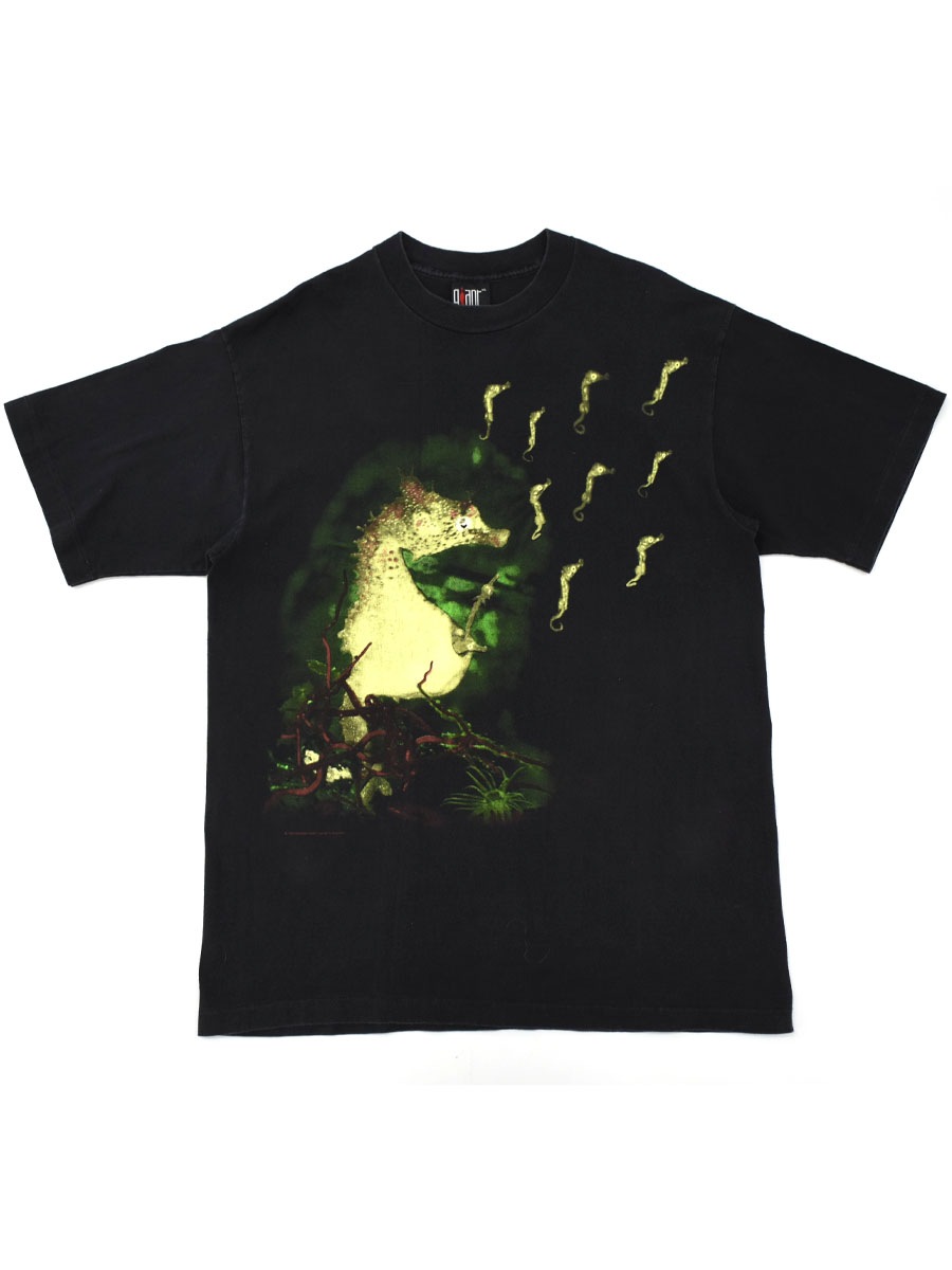 90's giant NIRVANA ''All Apologies'' 両面プリント Tシャツ 表記(XL