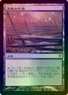mtg 湿地の干潟 4枚 日本語 拡張 mtg 湿地の干潟 4枚 日本語 拡張 MTG