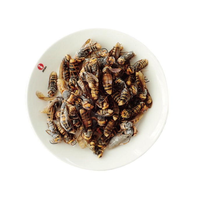 大容量⭐︎国産養殖 乾燥フタホシコオロギ 1kg ※一時生産中止につき