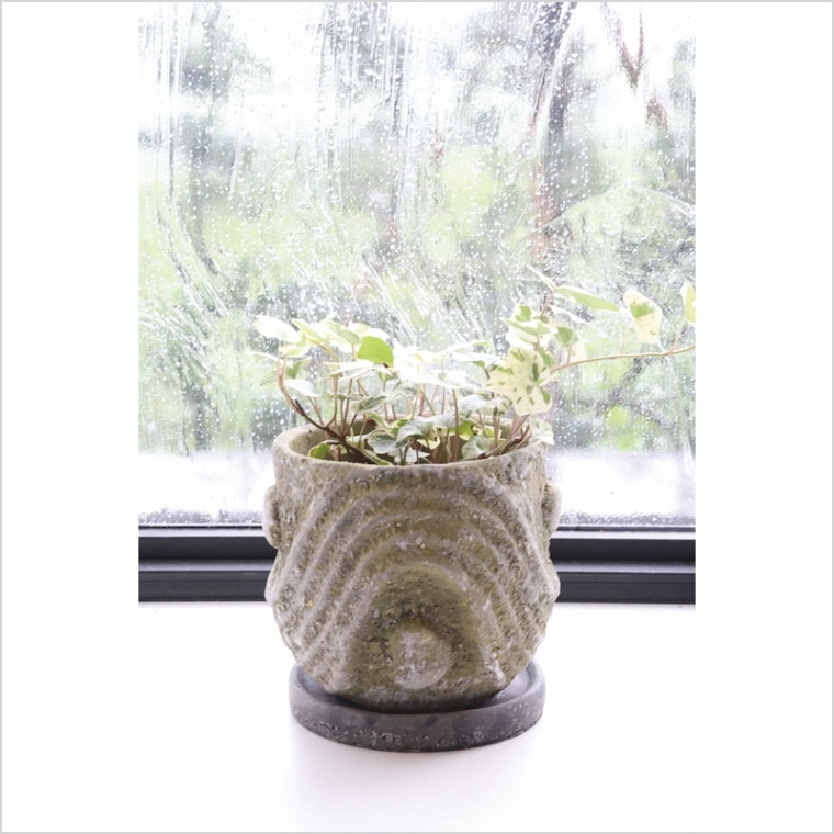 植木鉢andソーサー✳︎POT観葉植物✳︎園芸プランター 植木鉢and