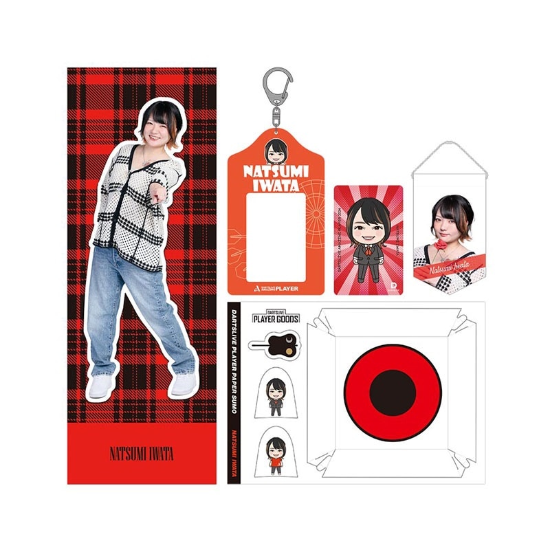 ダーツライブカード　海亀　THE WORLD限定テー入り ダーツライブカード 海亀 THE WORLD限定テー入り ダーツライブカード