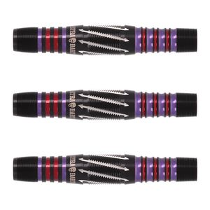 Dynasty Rakkaus 2BA 粕谷晋選手モデル ダーツ > ソフトダーツ > ブランド【タ行】 > ダイナスティー > ASTRA