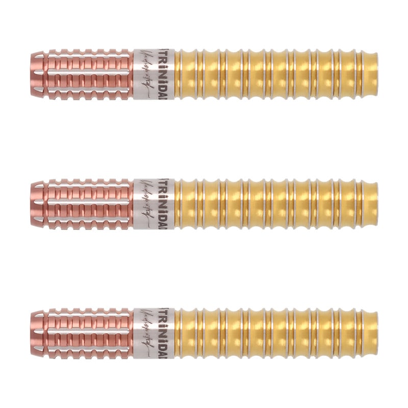 【フライト付き】TRINIDAD KID TYPE 3 ダーツ 後藤智弥 ダーツ バレル TRiNiDAD Undisputed KID3 後藤智弥 選手モデル