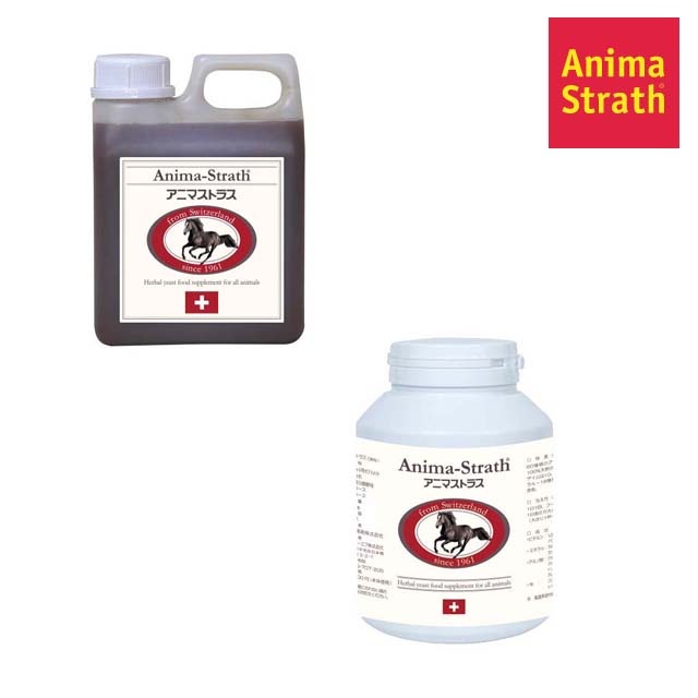 アニマストラス | For Horse 馬具,ホースケア／グルーミング