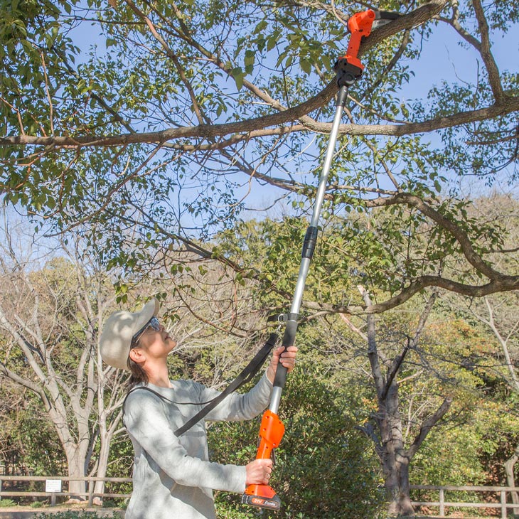 ファミラ NEW充電式コードレス2WAY高枝チェーンソー8点セット