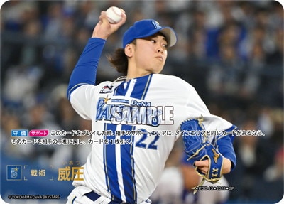 ドリームオーダー TBP01-DB03 石井 琢朗 横浜DeNAベイスターズ (LG