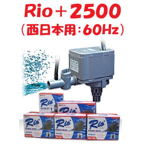 カミハタ Rio+2500 (西日本用:60Hz) 水中ポンプ リオプラス 水槽用
