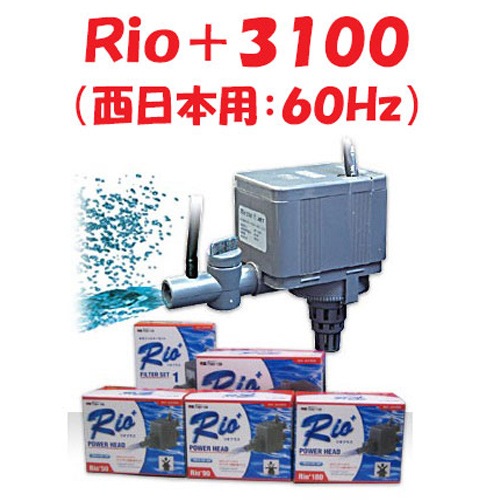 カミハタ Rio+3100 水中ポンプ (西日本用:60Hz) リオプラス