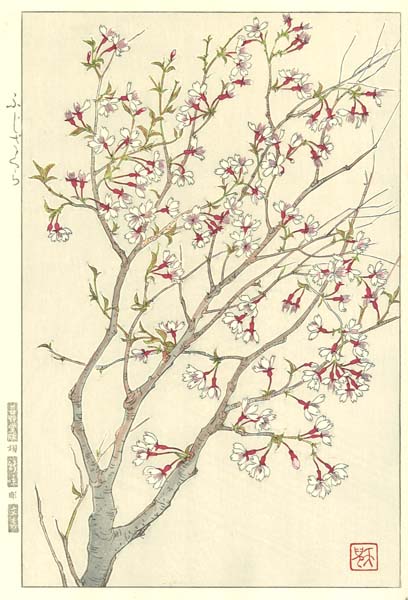 木版画のことなら『木版画 版元 芸艸堂 Woodblock print』