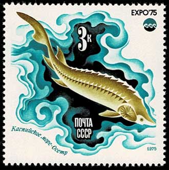 沖縄海洋博 切手6種セット ソビエト連邦発行 | 切手,ヨーロッパ | 趣味