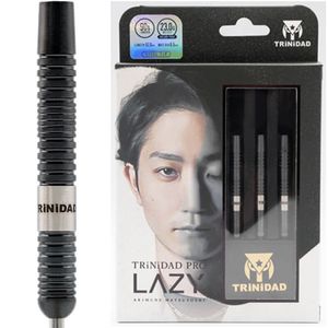 トリニダード LAZY レイジー 2BA22g 松吉輝宗選手 ダーツ バレル