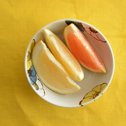 九谷青窯 高原真由美 色絵呼び花／4寸小鉢 | 九谷青窯／九谷焼