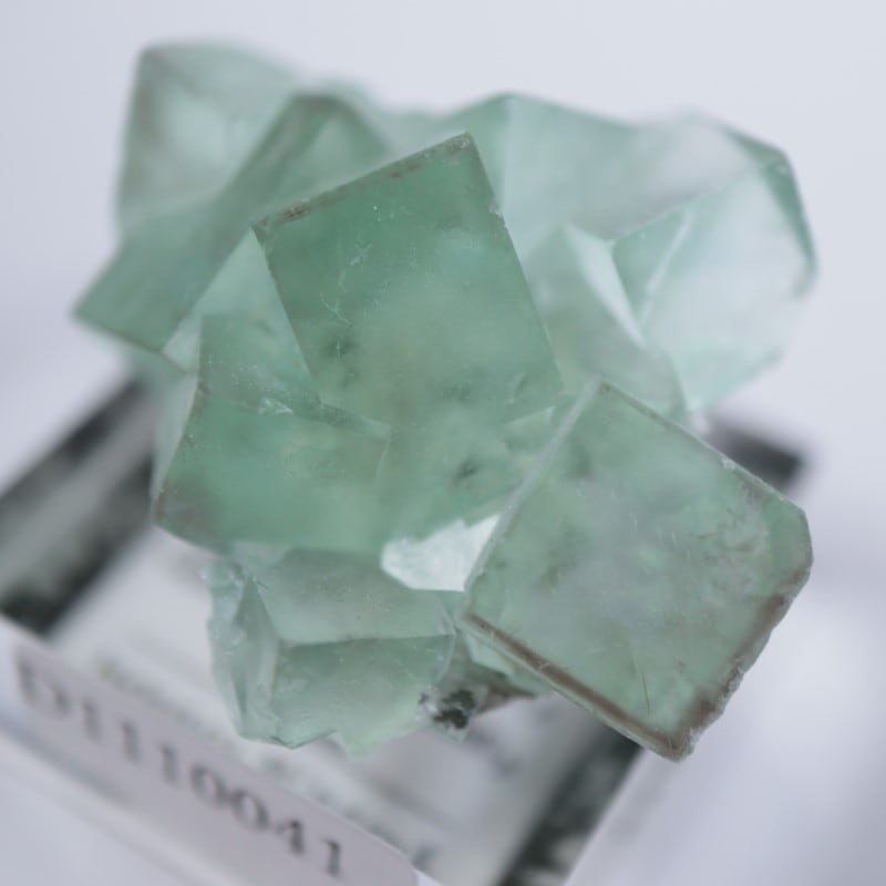 442 中国 シャンバオ鉱山産 フローライト 【公式通販】