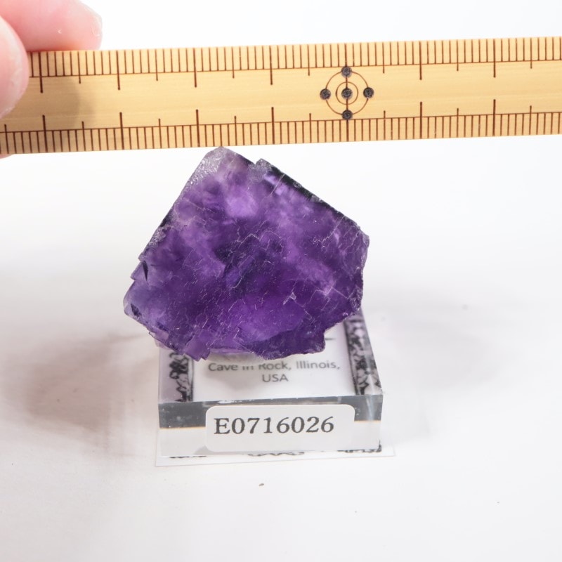 イリノイ産 フローライト | 鉱物標本,ハ行,フローライト/蛍石,フロー