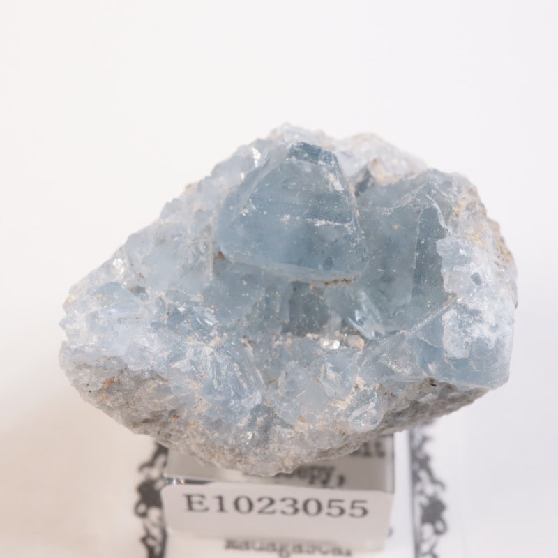 マダガスカル/天青石/セレスタイトエッグ セレスタイト エッグ