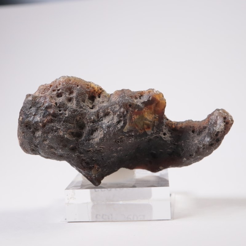 アルゼンチン産 コンドルアゲート | 鉱物標本,ア行,アゲート/瑪瑙