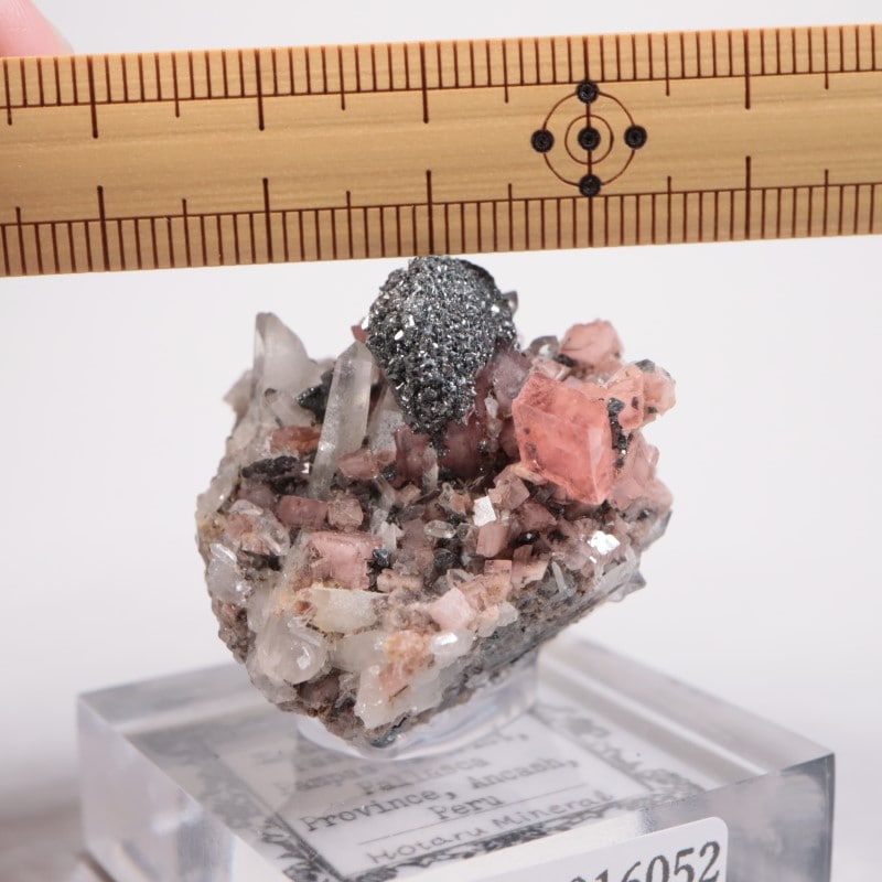 ペルー産 ロードクロサイト | 鉱物標本,ラ行,ロードクロサイト/菱