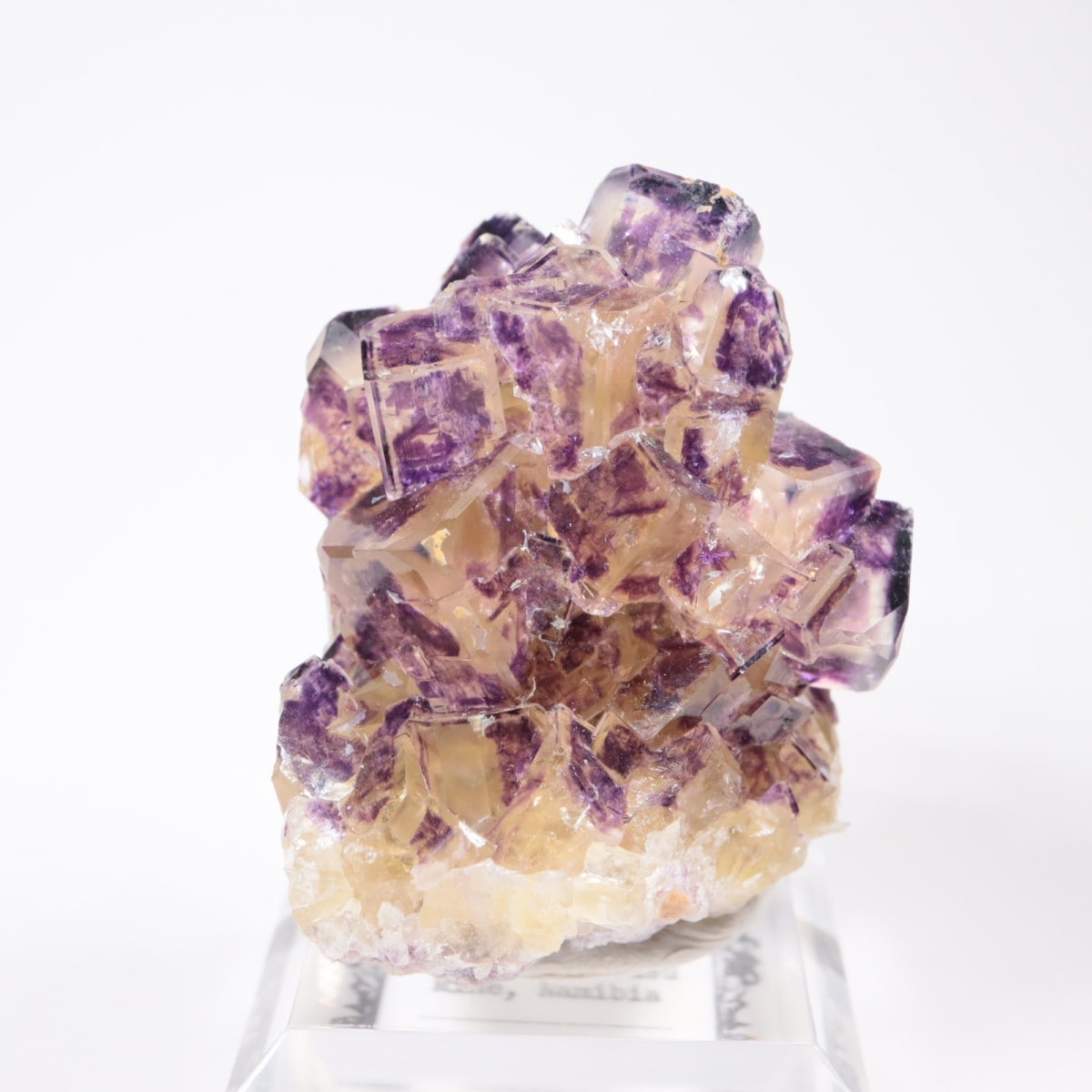 Purple Bunny Pocket産 フローライト | 鉱物標本,ハ行,フローライト/蛍