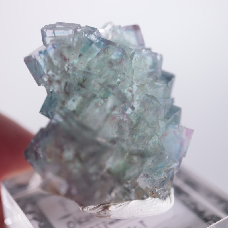 オコルス鉱山 フローライト | 鉱物標本,ハ行,フローライト/蛍石