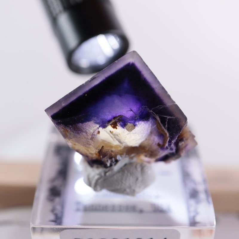 アメリカ産 フローライト（蛍石） | 鉱物標本,ハ行,フローライト/蛍石