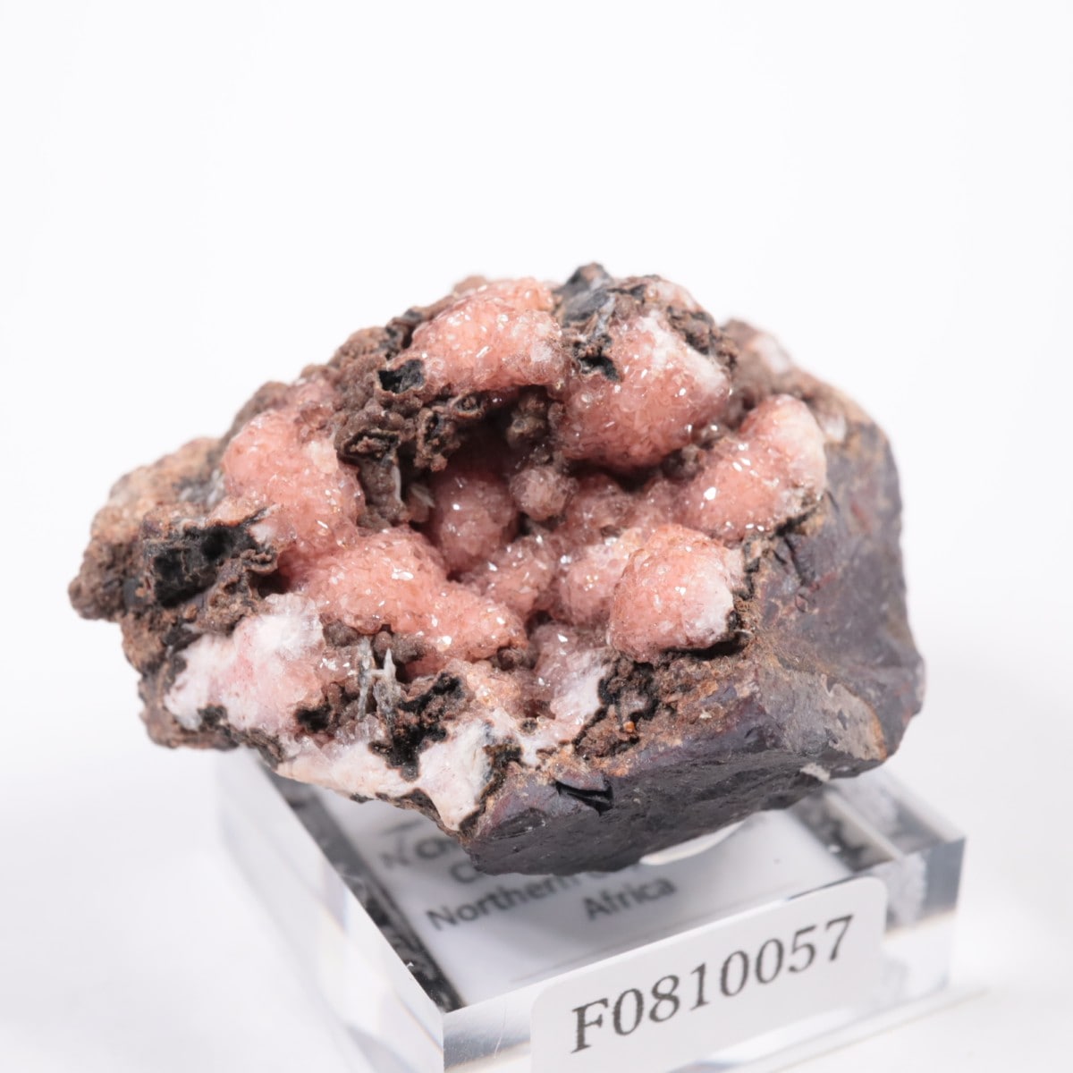 南アフリカ産 ロードクロサイト | 鉱物標本,ラ行,ロードクロサイト/菱