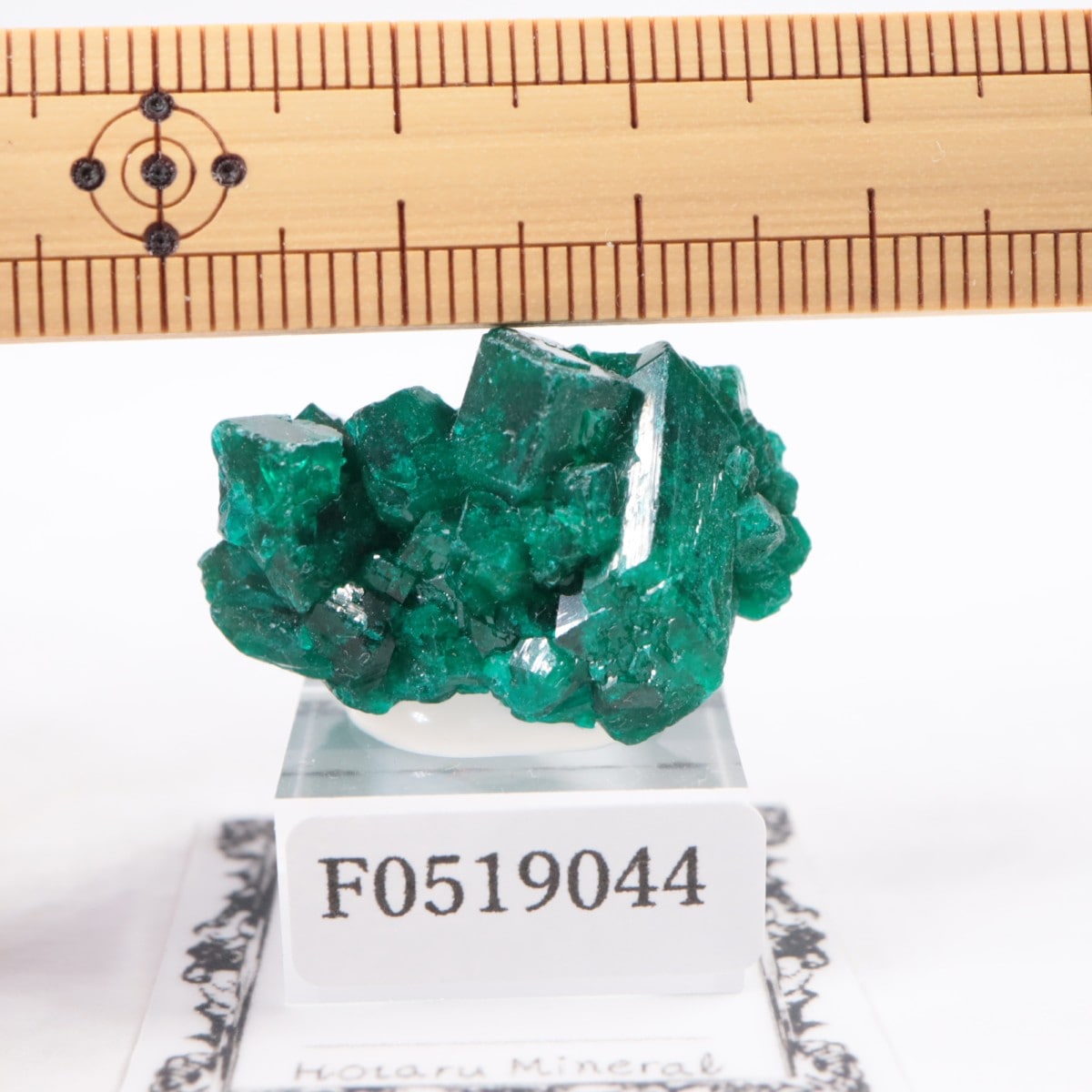 コンゴ産 ダイオプテーズ | 鉱物標本,タ行,ダイオプテーズ/翠銅鉱