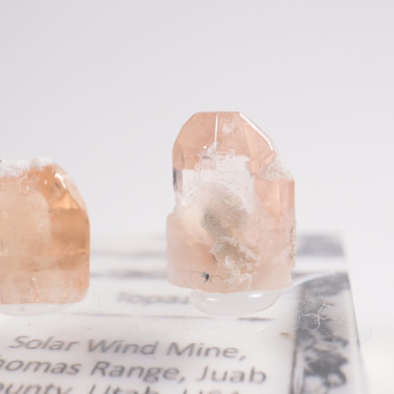 6_000000008625.jpg?1732705988